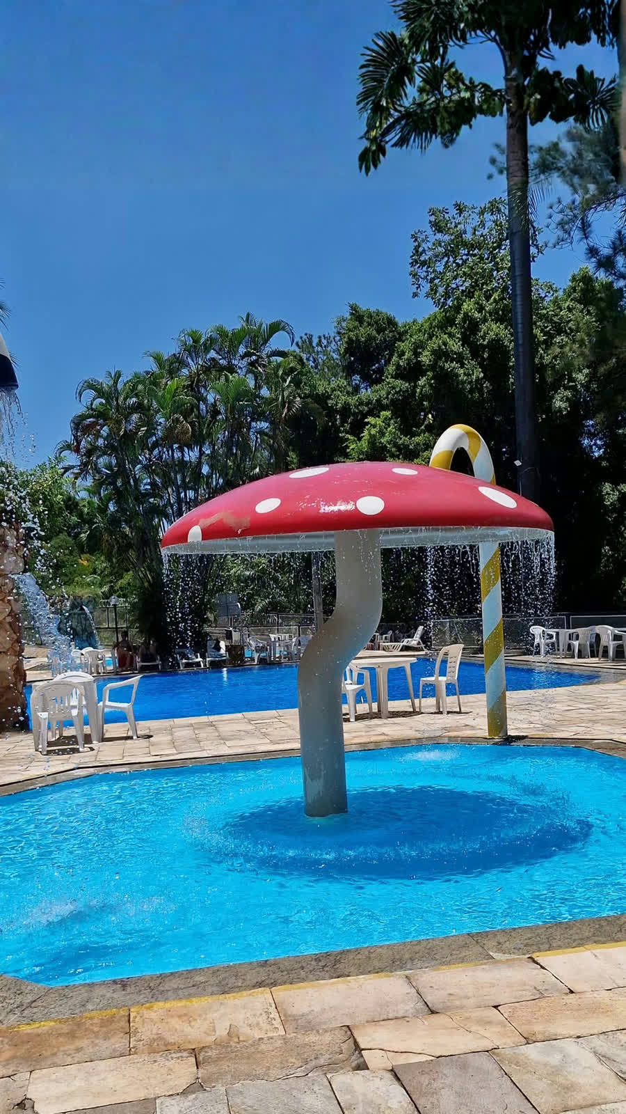 Cogumelo aquático Hotel Jalim