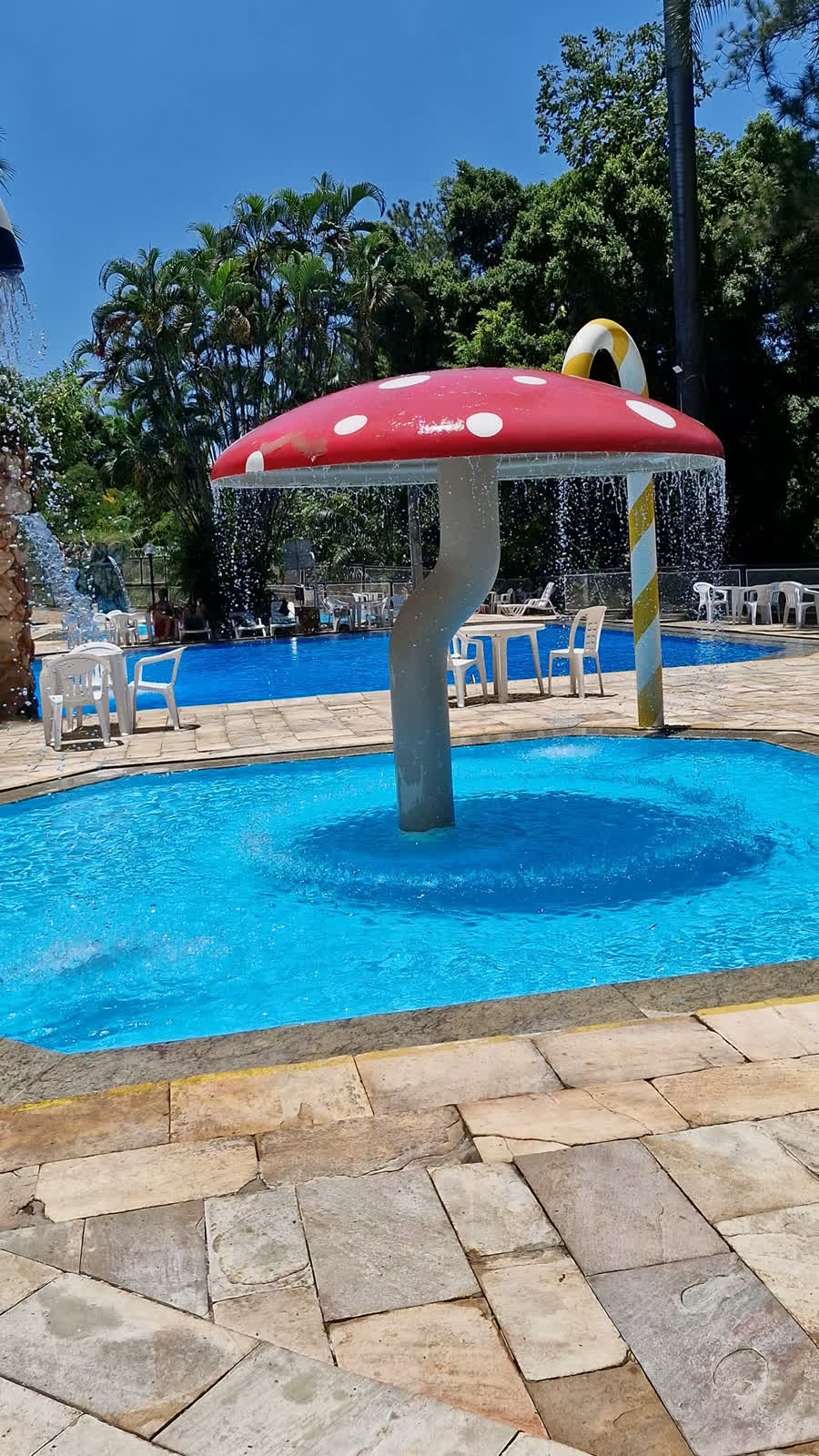 Cogumelo aquático Hotel Jalim