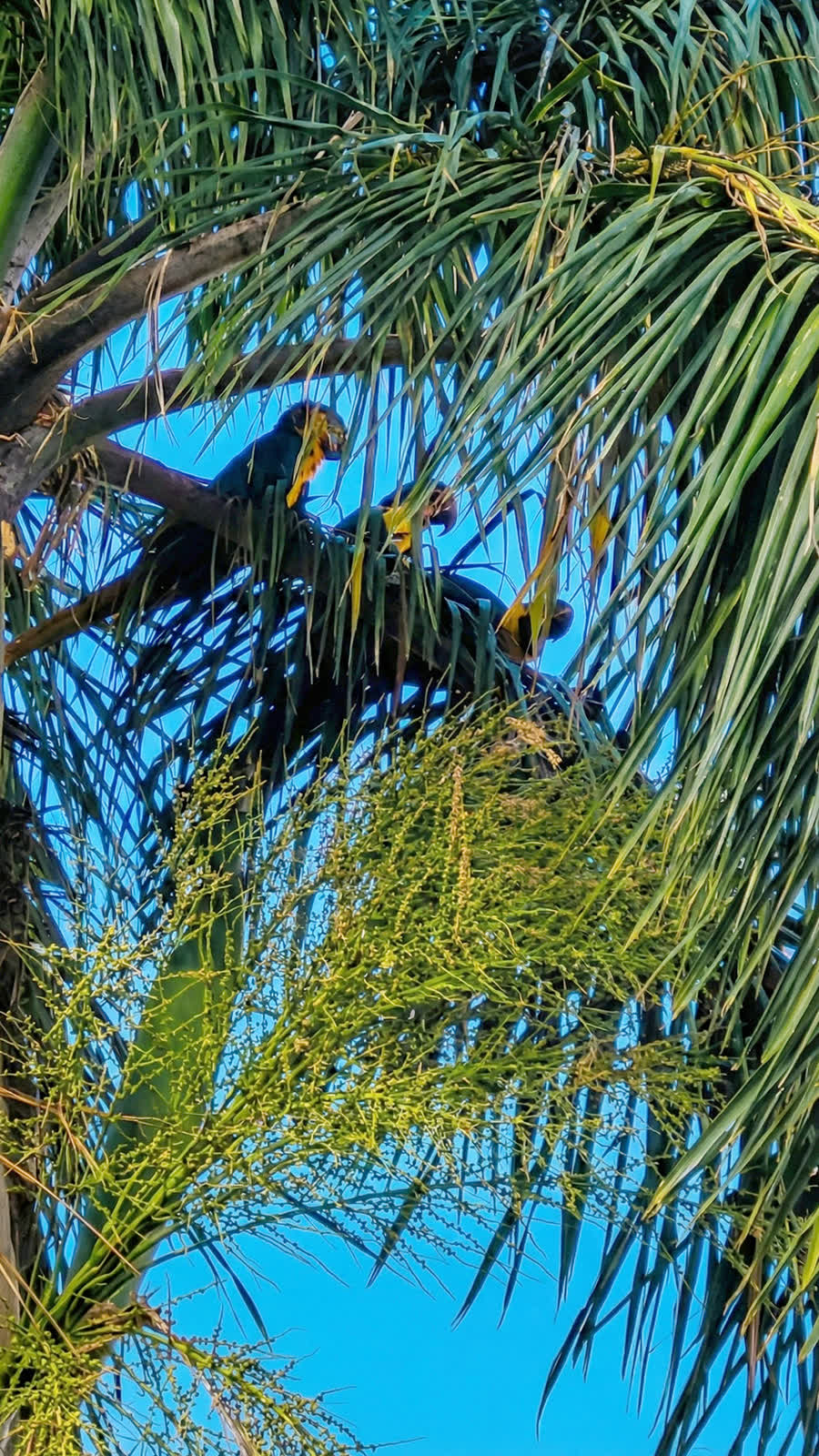 Hotel Jalim jardins e área externa